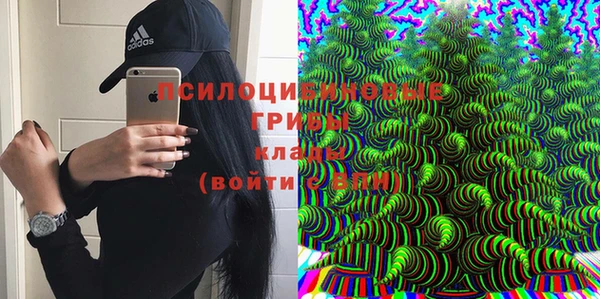 мет Нефтегорск