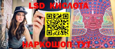 стафф Берёзовский