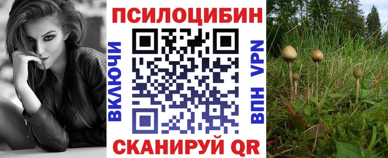цены   Богданович  Галлюциногенные грибы прущие грибы 