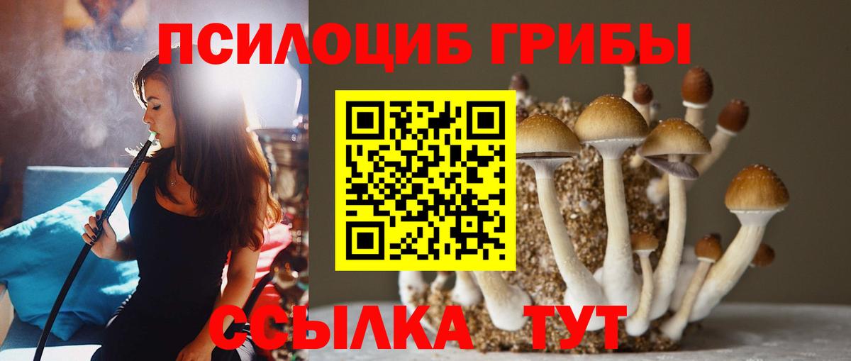 Псилоцибиновые грибы мухоморы Богданович