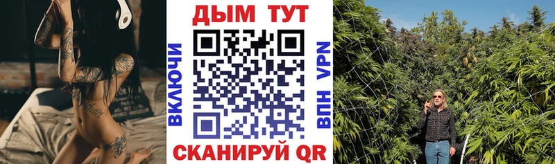 Бошки Шишки Amnesia Богданович