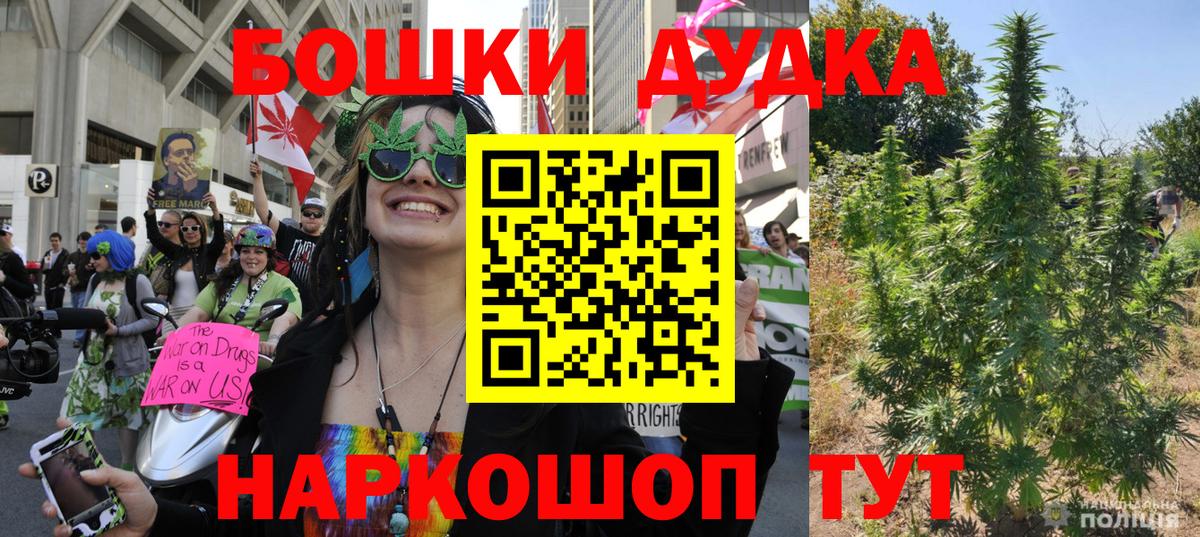 Бошки Шишки тримм Богданович